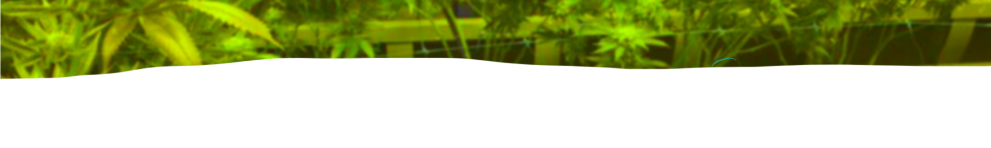 B7808996-2879-4E79-9B2D-C77DB81268C1 B7808996-2879-4E79-9B2D-C77DB81268C1